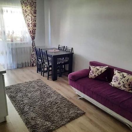 Diana Apartament Apartamento Braşov Exterior foto